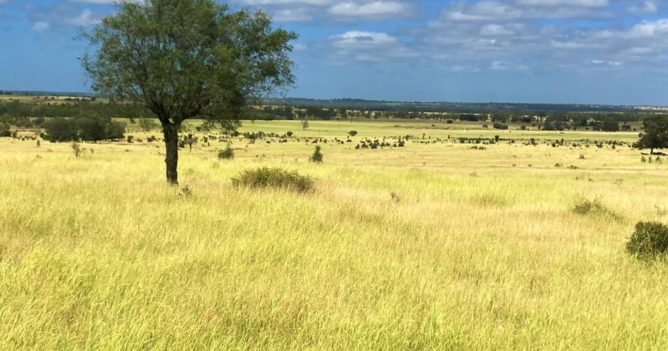 Maranoa property asking $4.35 million