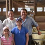 Yearling steers dearer at Dalby