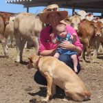 Management options for pasture dieback