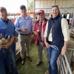 Elizabeth Boughen, 22yo cattlewoman, remembered as ‘genuine, passionate’ | Queensland Country Life