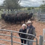 Revealed: The top 10 Australian bull studs of 2022