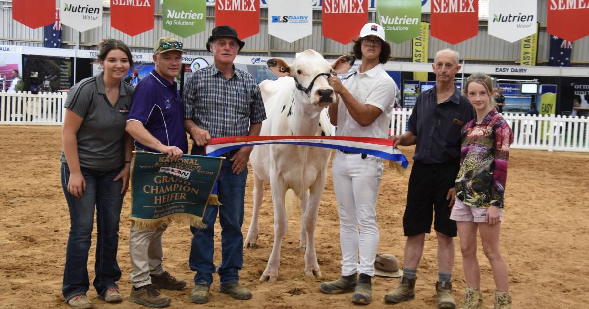 City lad takes top youth show award at International Dairy Week