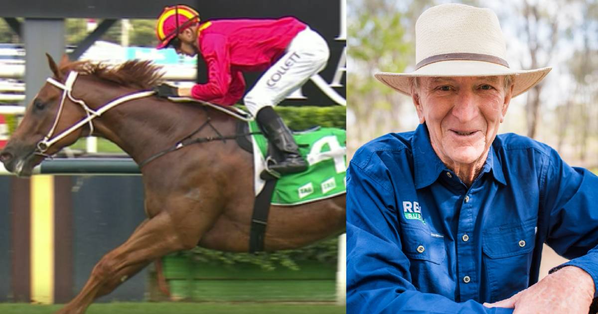 Emerald stock and station agent talks about the racehorses he owns | Queensland Country Life