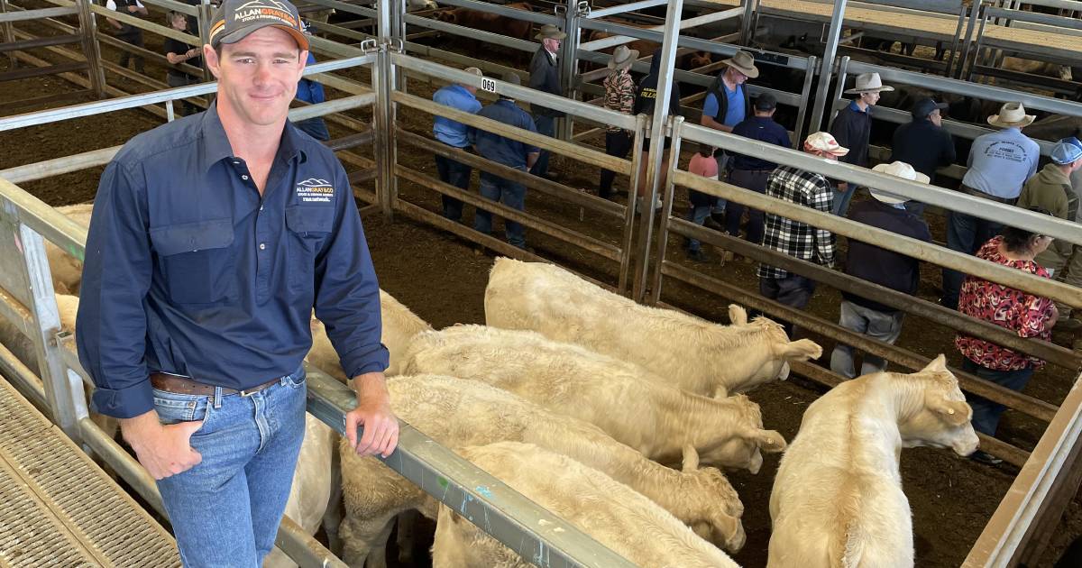 Restockers put floor in market at Carcoar