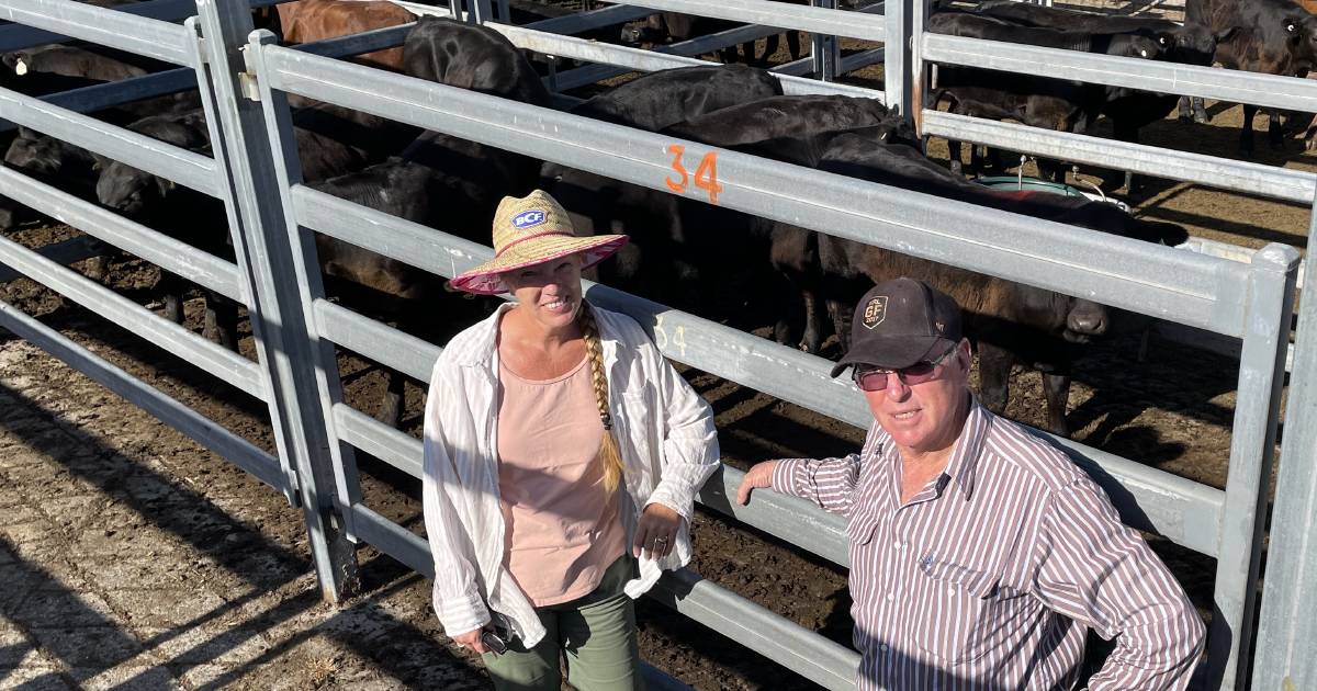 Price correction pushes cattle prices back a couple years but producers “happy on the day” | The Land