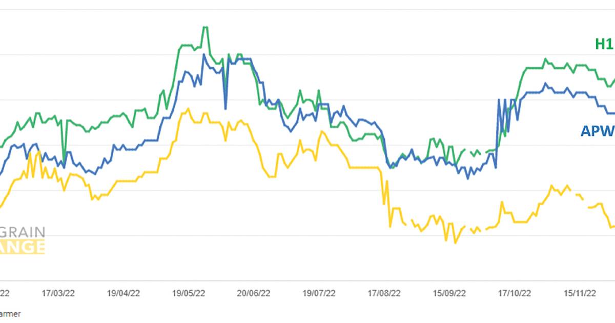 When to sell and what to hold