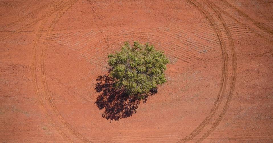 Carbon market priority for agriculture is to shore up its own supply chain requirements ahead of the big polluters | The Land