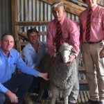 McIntosh & Son to sell Goldacres range in Esperance, Great Southern | Farm Weekly