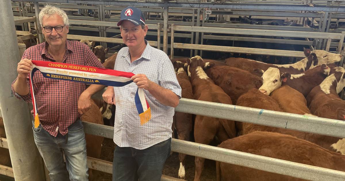 Premium for weaned cattle at all breeds Wodonga sale | January 5