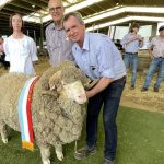 Pasture dieback returns after wet weather