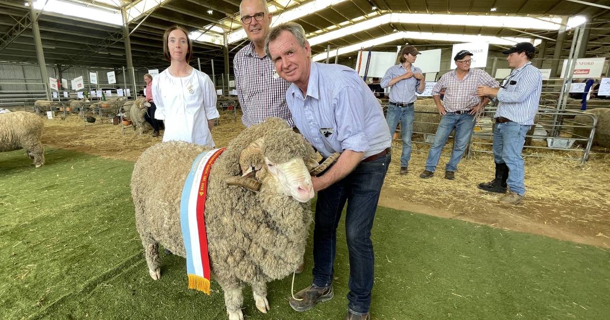 Demondrille takes supreme title at Armidale Merino Ram Show