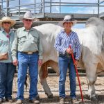 Soft market at Western Wool Centre’s first sale | Farm Weekly