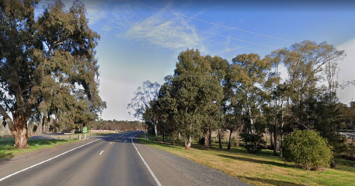 Cattle killed after truck rolls on highway