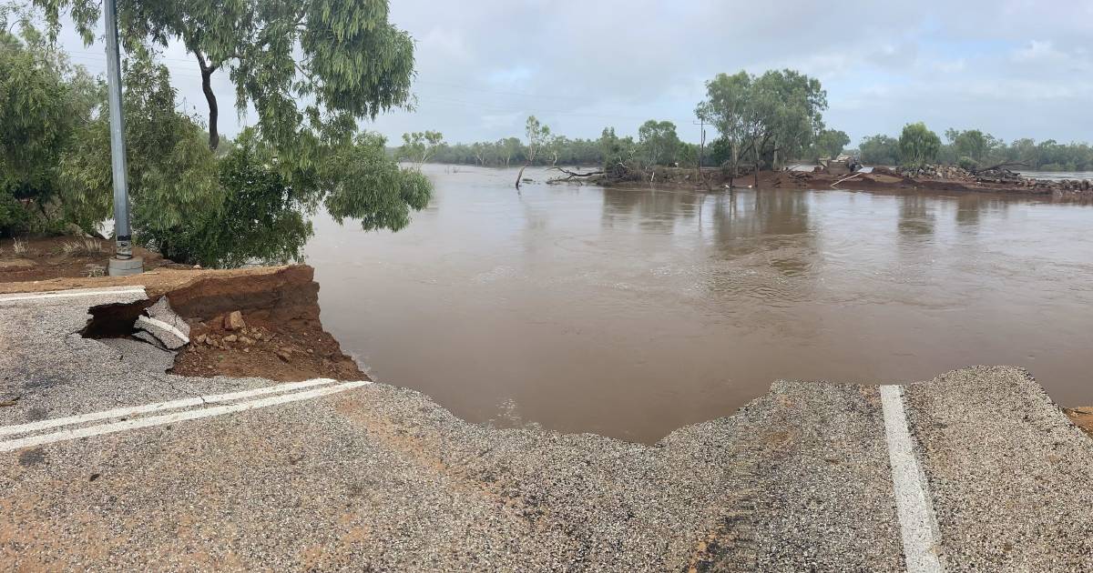 Cattle living on 'islands' as floodwater separates roads in the Kimberley