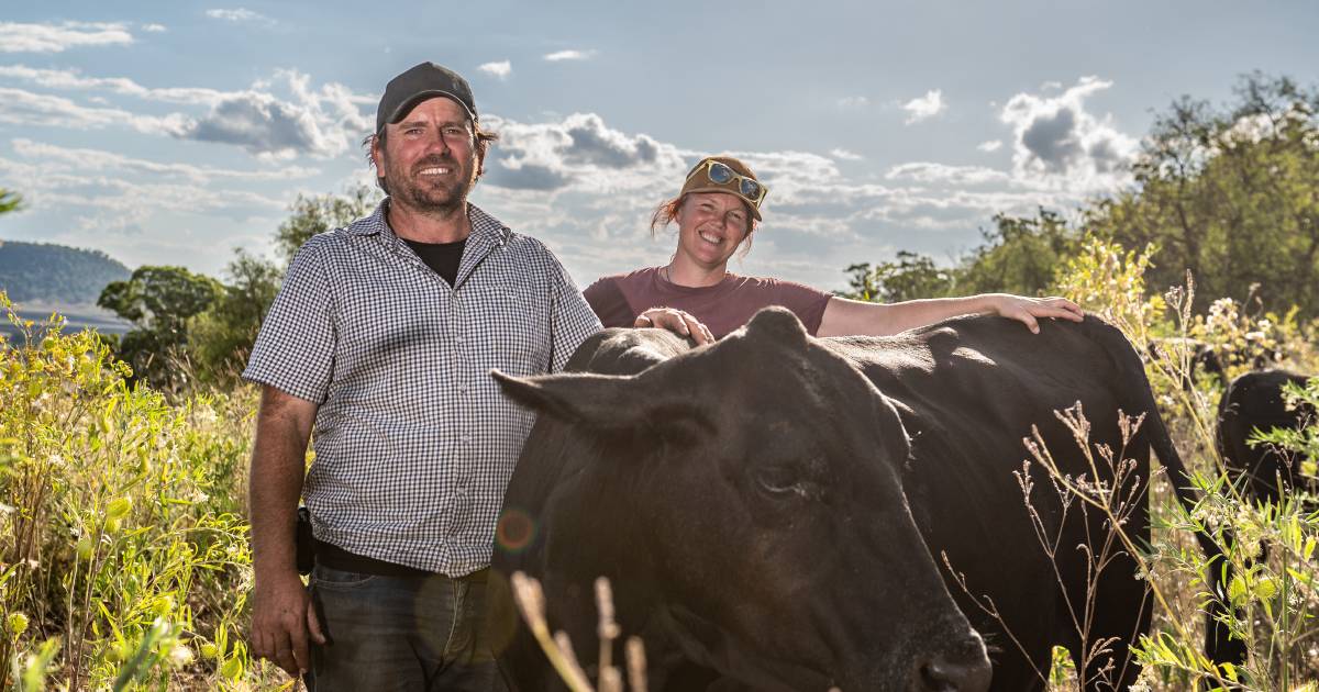 Echo Valley's steak buyers become stake holders