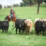 Maurice McMillen an Australian Fire Service Medal recipient in Australia Day Honours list | The Land