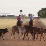 Handshake deals done on four extensive Kidman cattle properties