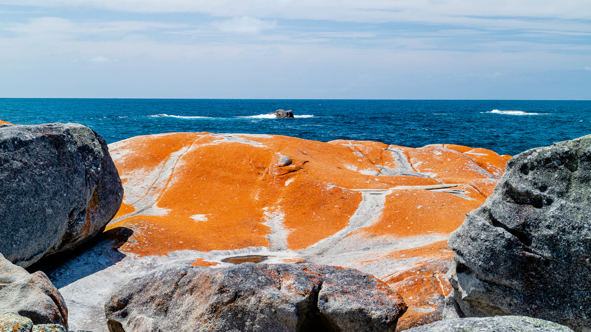 A Trip Exploring Northern Tasmania