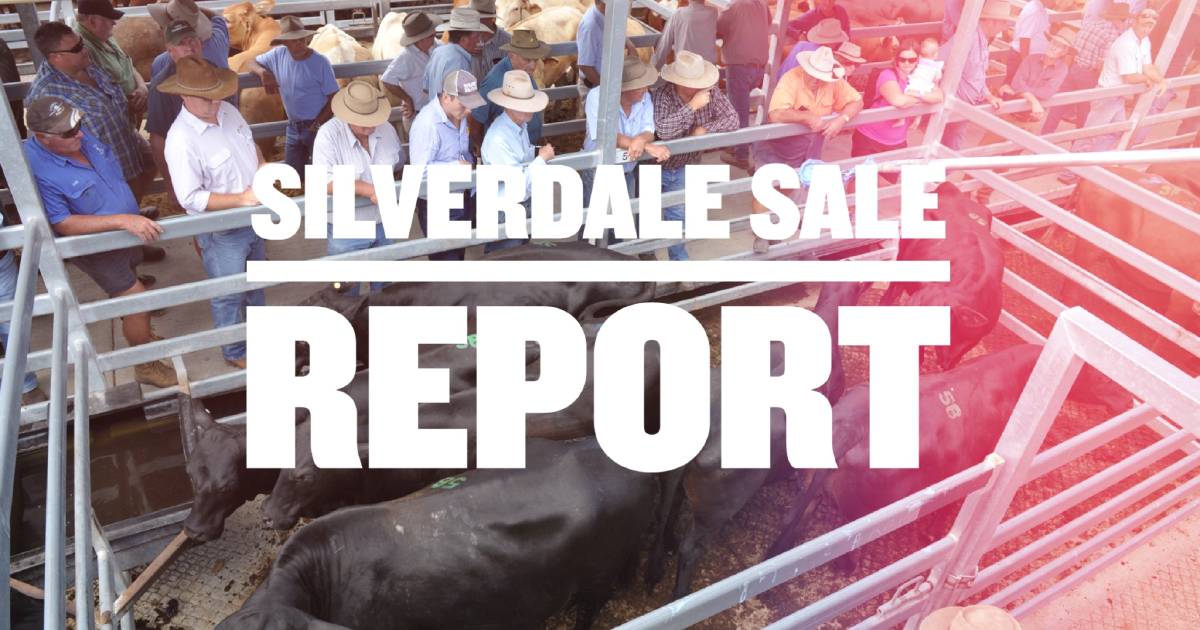 Prices dearer for light restocker cattle at Silverdale