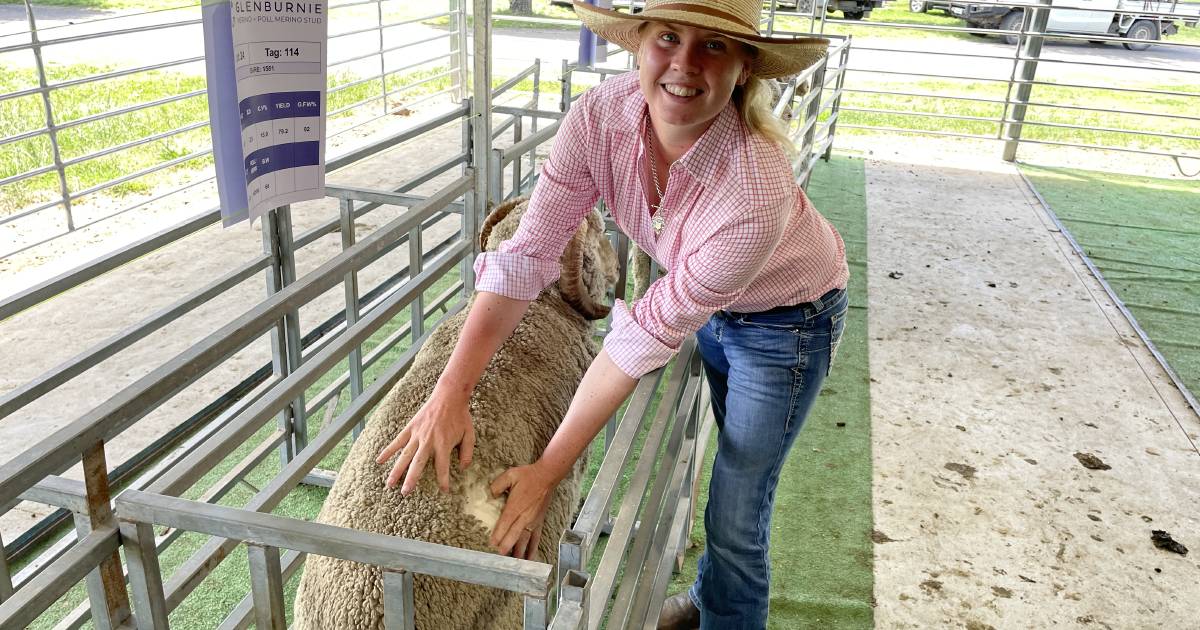 Establishing a Merino flock is Jasmine's aim