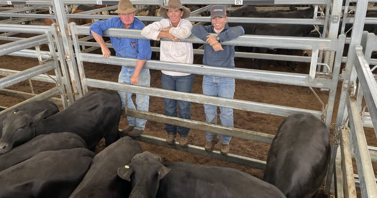 Inverell steers hit a $1618 top