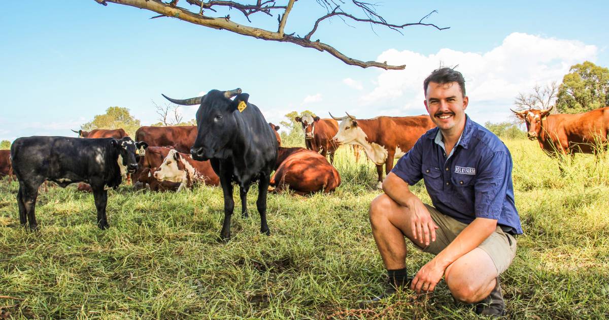 Managing paddock to plate on Wolki Farm