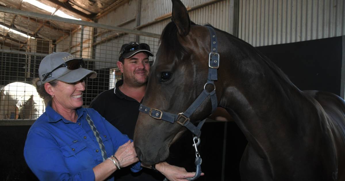 Premier yearlings ready for the sale ring