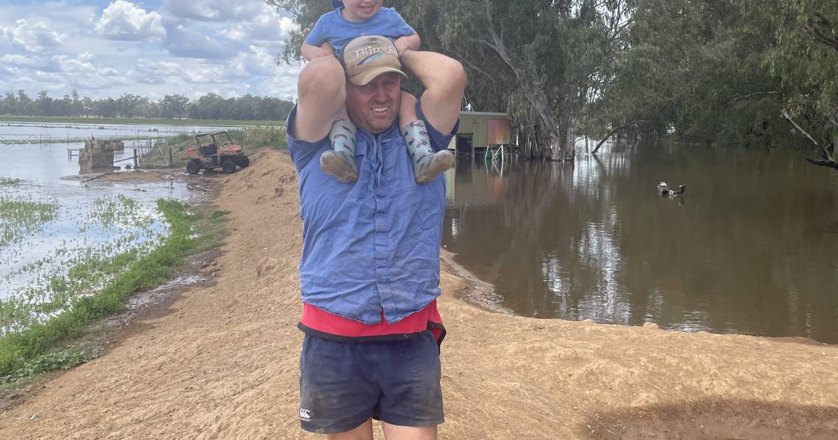 Farming flood recovery at Forbes