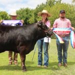 MEGA GALLERY: All the faces of the school paraders and steers