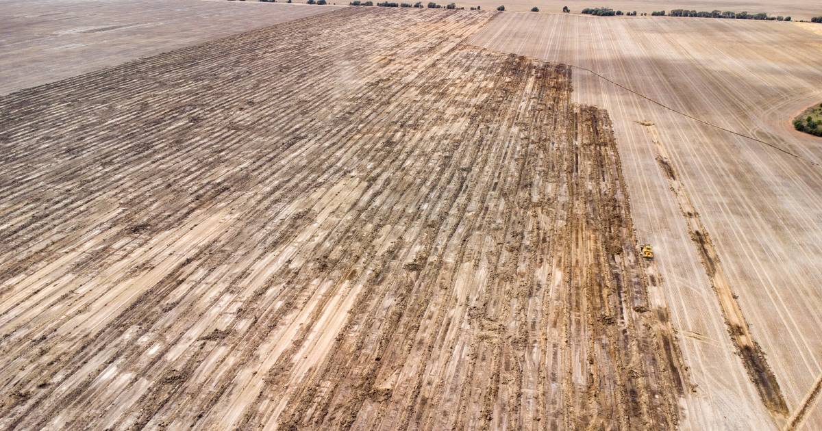 13 years, 3000ha and CAT's biggest dozer: grower's levelling shows results