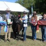 Great Australian Cattle Drive aims to hit the ‘long paddock’ for great charity cause