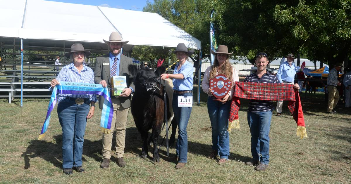 Canberra Royal 2023: Belted Galloway results