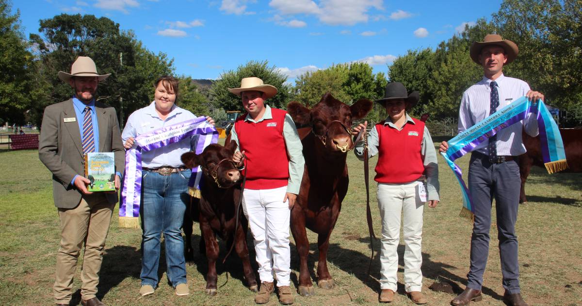 Canberra Royal 2023: Red Poll results