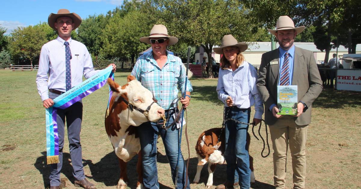 Canberra Royal 2023: Miniature Hereford results