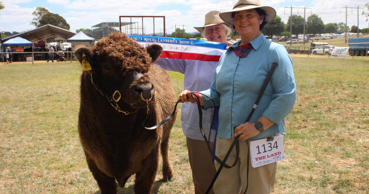 Successful day for Yass Galloway breeders at Canberra