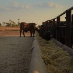 CBH celebrated the Brookton rail siding project with WA Agricultural Minister Jackie Jarvis and CEO Ben Macnamara. | Farm Weekly