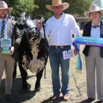 Canberra Royal 2023: Interbreed results | The Land