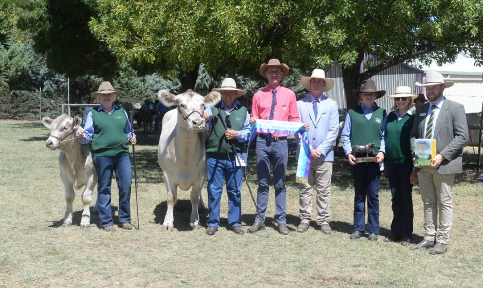 Canberra Royal 2023 Murray Grey results Australian Country Life