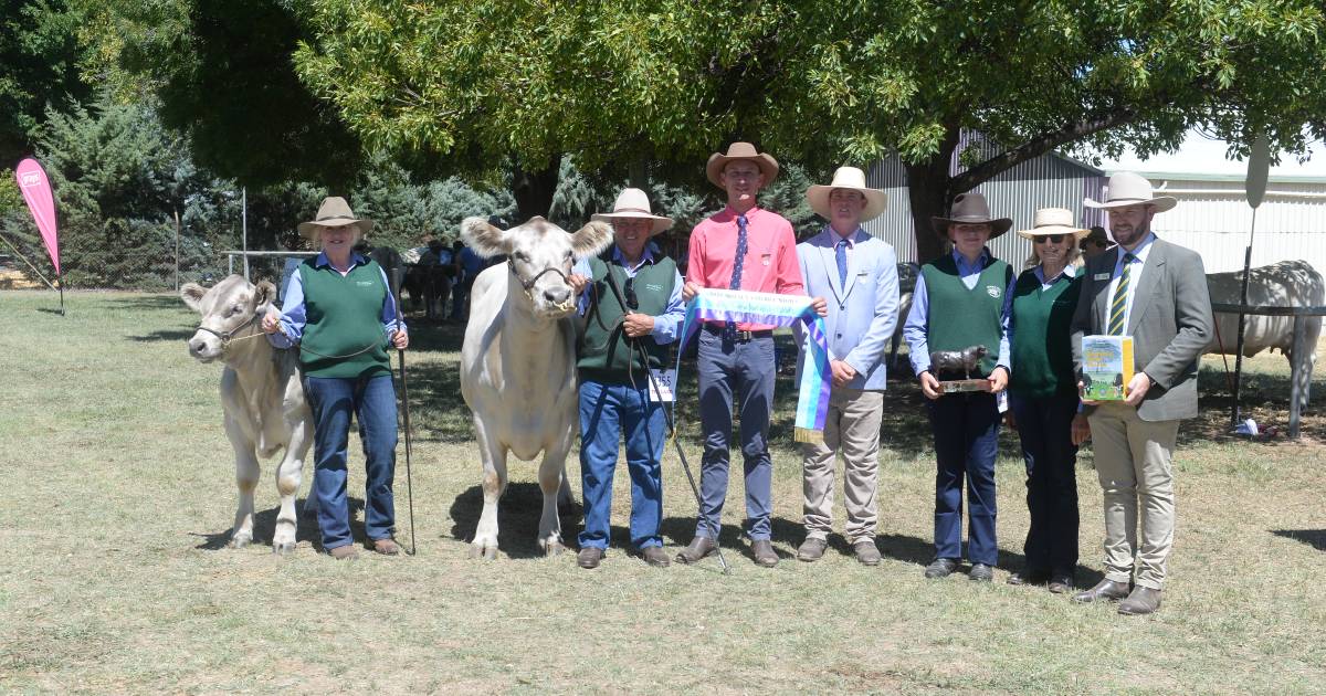 Canberra Royal 2023: Murray Grey results