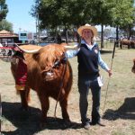 Canberra Royal 2023: Miniature Hereford results