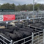 Boss drover takes aim at stock route reform