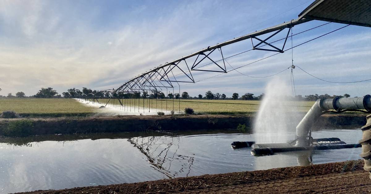 Jemalong offers irrigation, cropping and grazing on a $85 million-plus scale