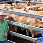 Central Queensland cotton first cab of the rank for harvest