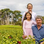 QTA Charters Towers livestock handling workshop fully subscribed | North Queensland Register