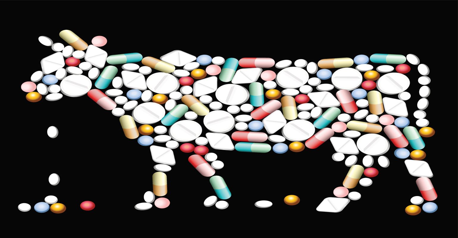 Over-the-counter livestock antibiotics to require prescription