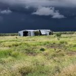 UQ researchers developing venereal disease vaccine