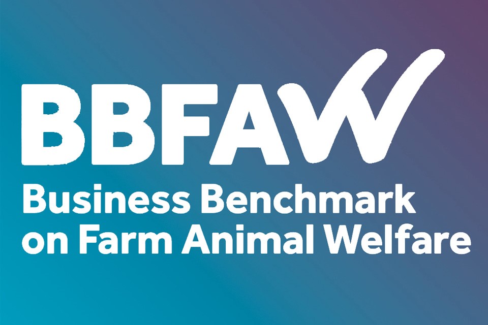 Woolworths reviewing use of farm animal welfare benchmark