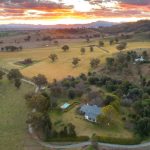 Waverley Downs rams sell to $4000