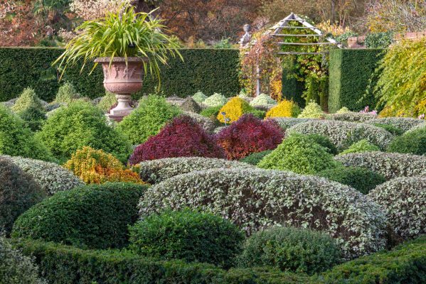 Alan Titchmarsh: I won’t hear a bad word about privet hedges, but they’re not a patch on my one-off ‘country hedge’