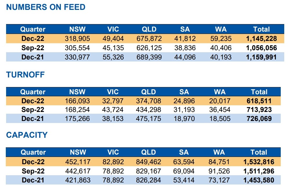 Cattle numbers on feed notch up five years above one million head